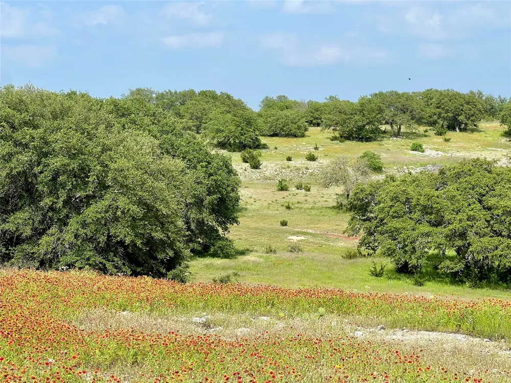 660 FM 203 Walnut Springs, TX 76690