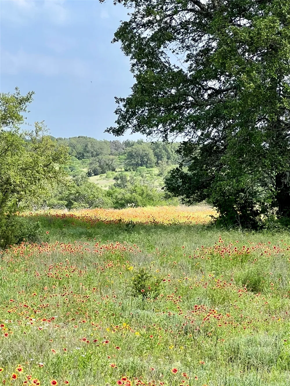 660 FM 203 Walnut Springs, TX 76690