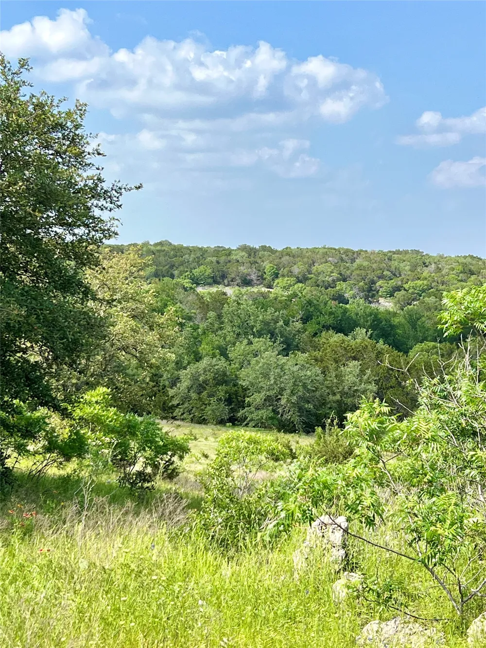 660 FM 203 Walnut Springs, TX 76690