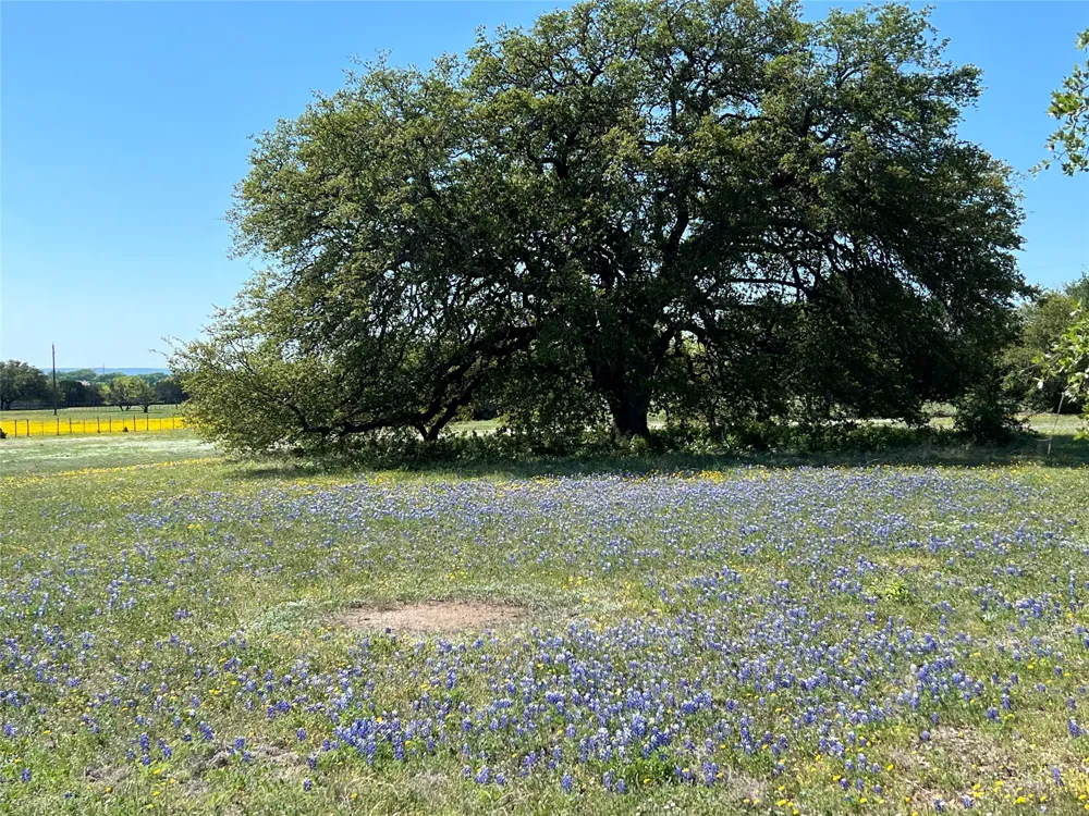 660 FM 203 Walnut Springs, TX 76690