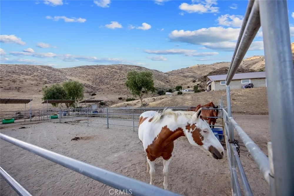 6931 Sierra Agua Dulce, CA 91390