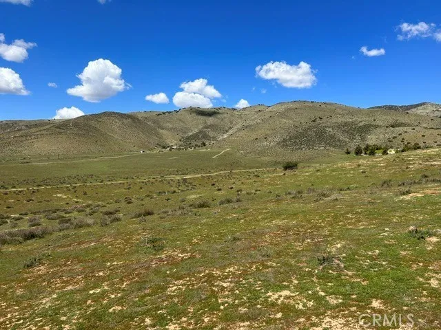 6931 Sierra Agua Dulce, CA 91390