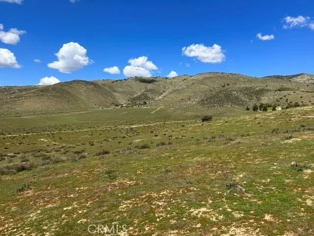 6931 Sierra Agua Dulce, CA 91390