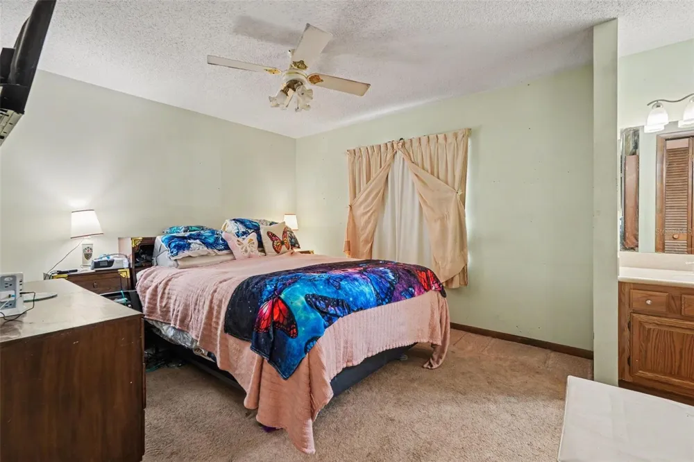 2815 LINDEN TREE STREET Seffner, FL 33584