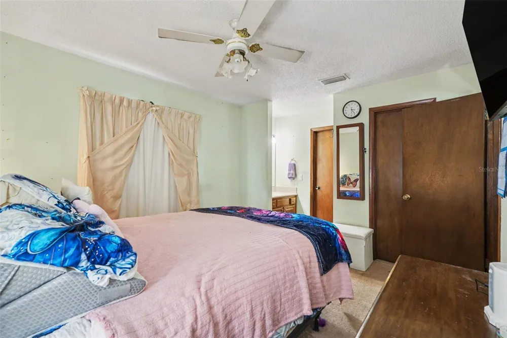 2815 LINDEN TREE STREET Seffner, FL 33584