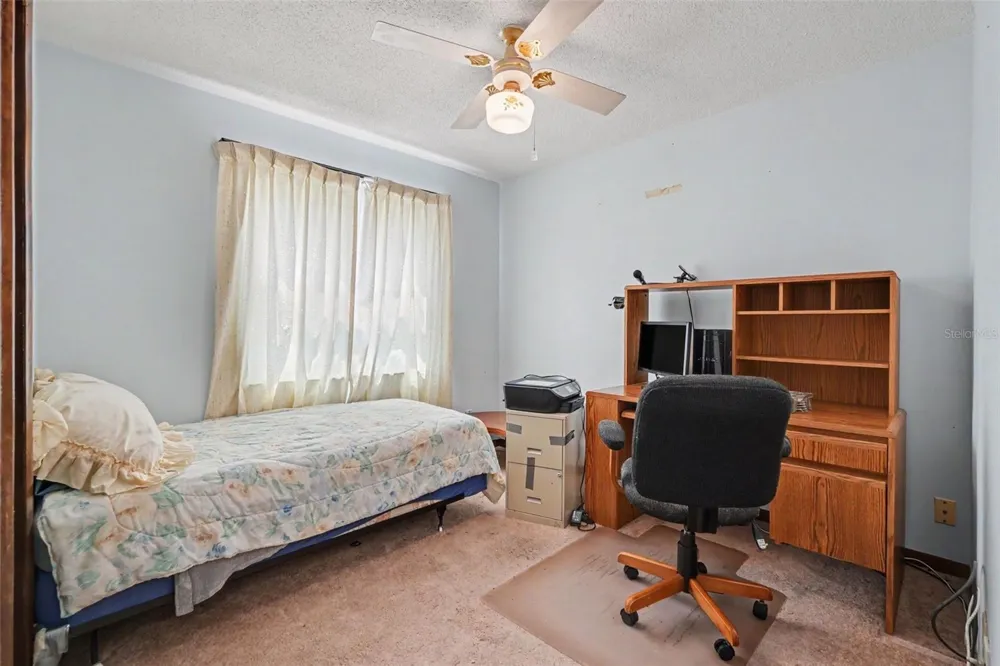 2815 LINDEN TREE STREET Seffner, FL 33584