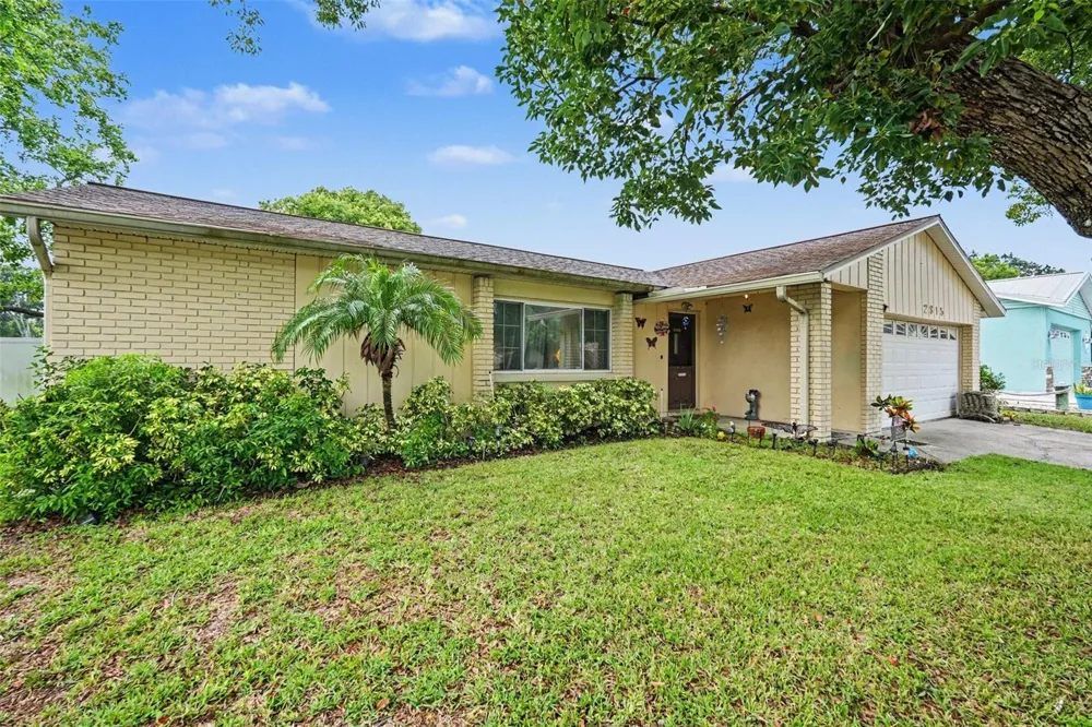 2815 LINDEN TREE STREET Seffner, FL 33584