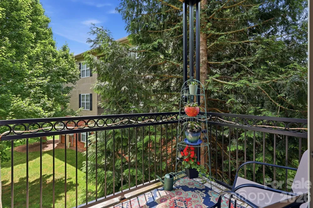 528 Appeldoorn Circle Asheville, NC 28803
