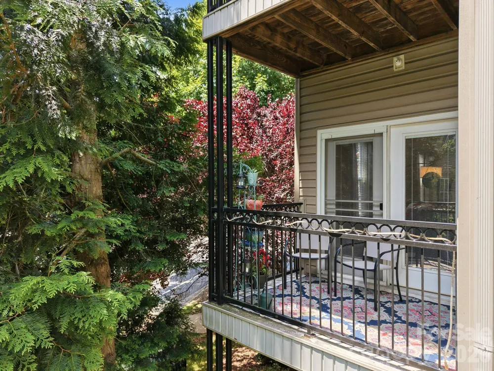 528 Appeldoorn Circle Asheville, NC 28803