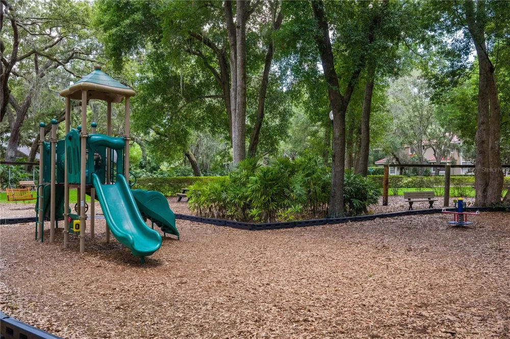 2009 WOODY DRIVE Windermere, FL 34786