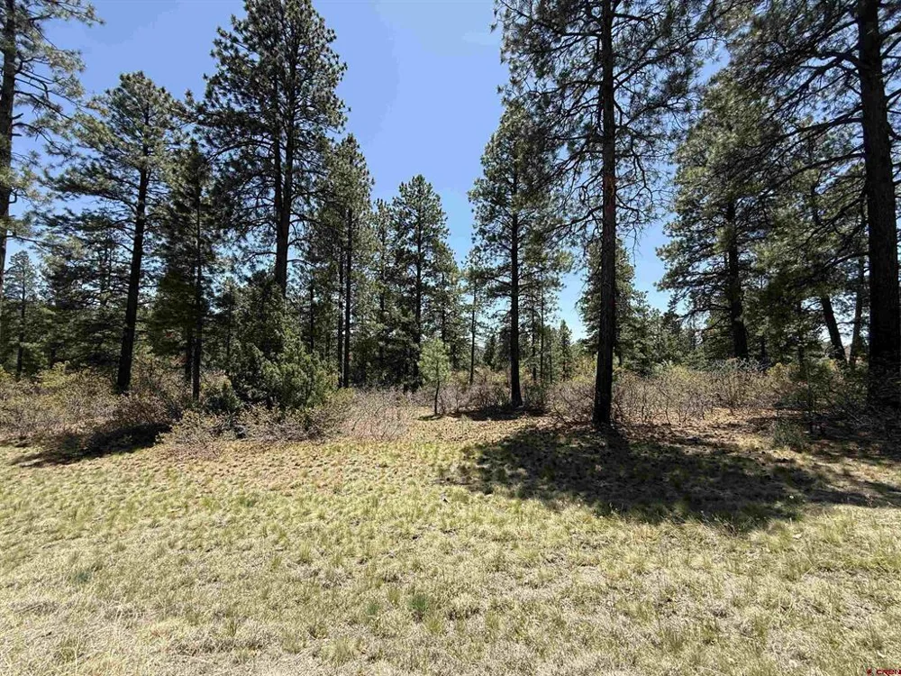 Edgemont Highlands Drive Durango, CO 81301