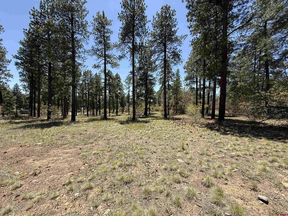 Edgemont Highlands Drive Durango, CO 81301