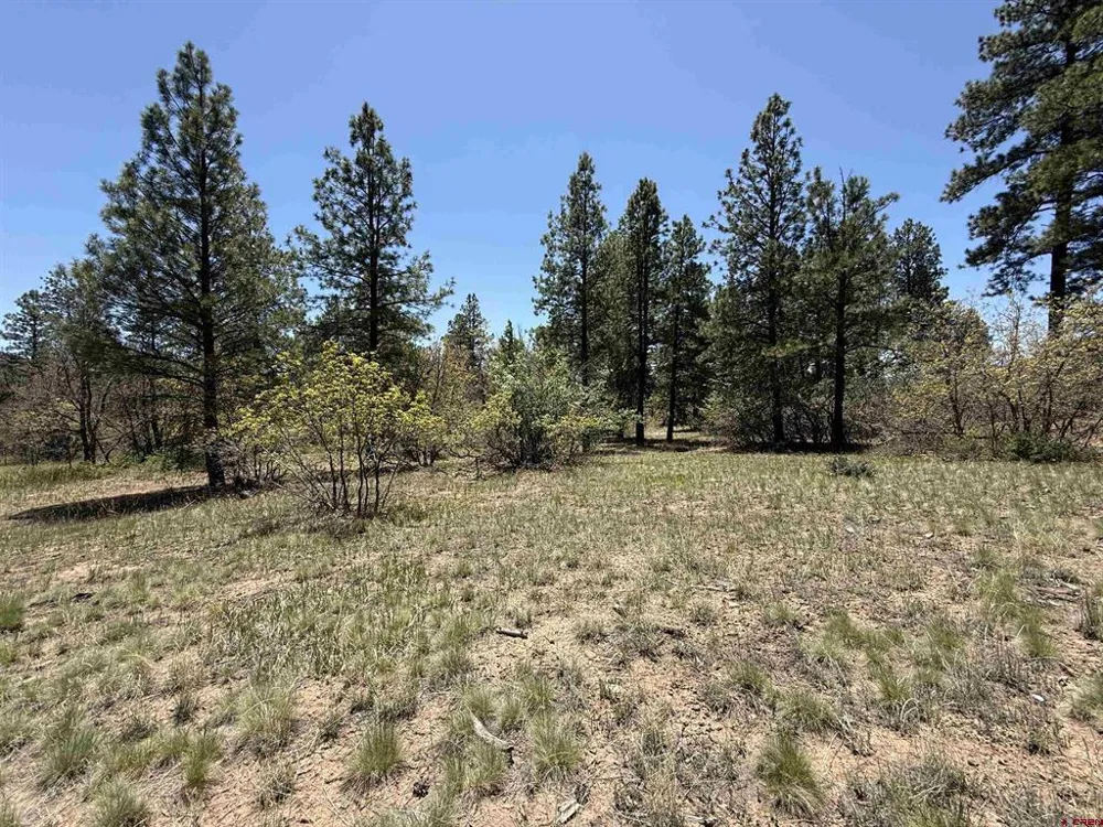 Edgemont Highlands Drive Durango, CO 81301
