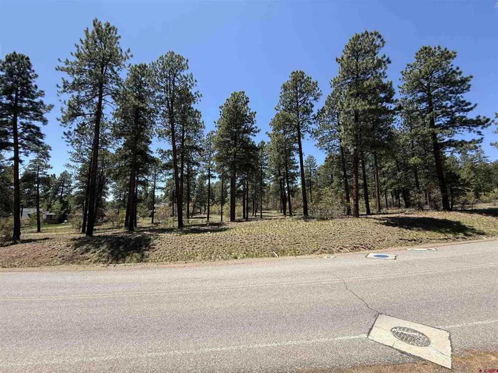 Edgemont Highlands Drive Durango, CO 81301