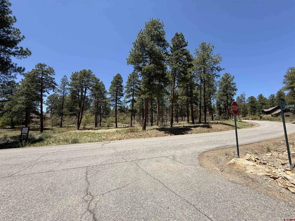 Edgemont Highlands Drive Durango, CO 81301