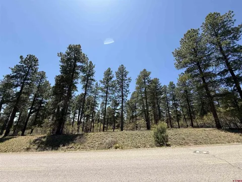 Edgemont Highlands Drive
