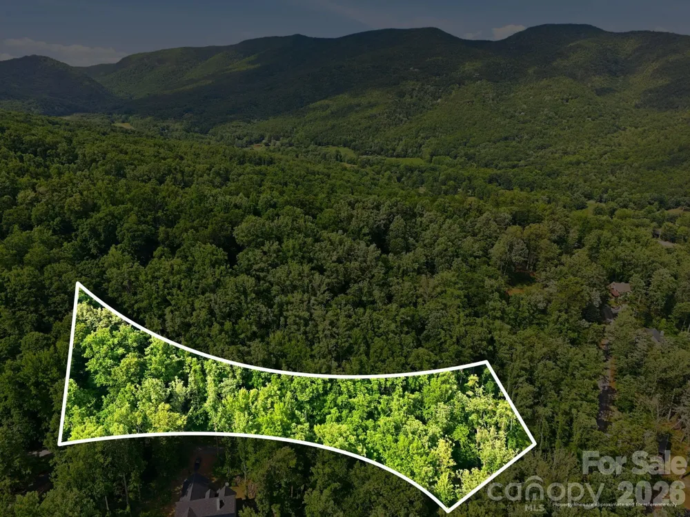 0000 Rocky Branch Trail Marion, NC 28752