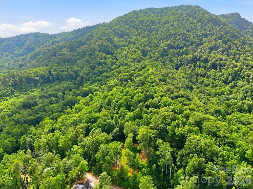 0000 Rocky Branch Trail Marion, NC 28752