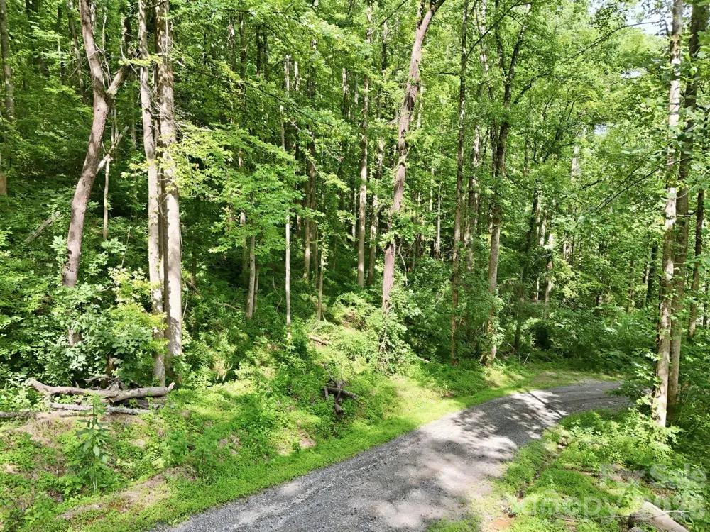 0000 Rocky Branch Trail Marion, NC 28752