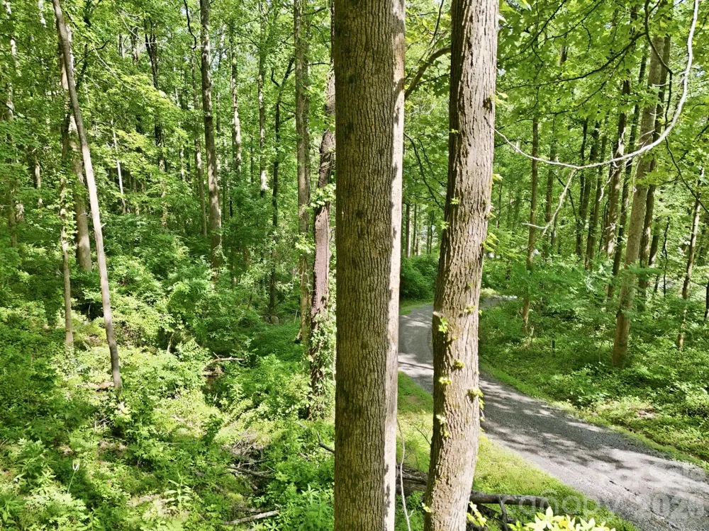 0000 Rocky Branch Trail Marion, NC 28752