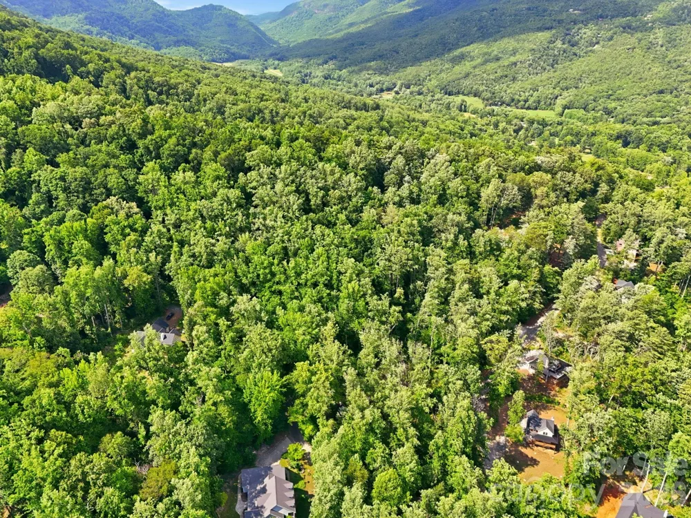 0000 Rocky Branch Trail Marion, NC 28752