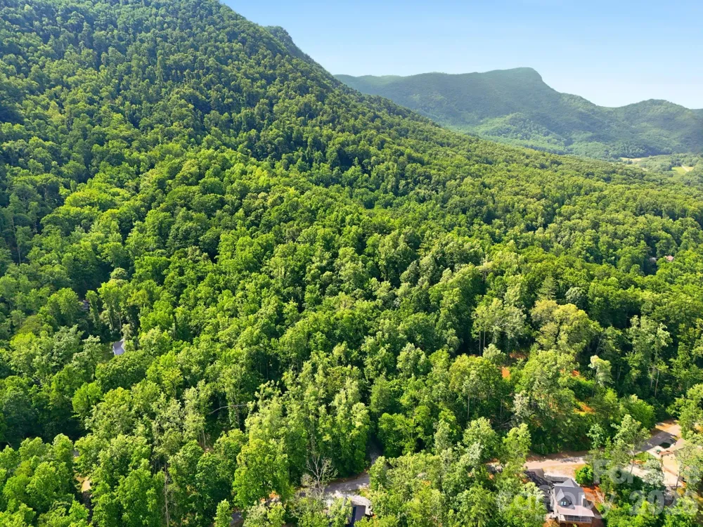 0000 Rocky Branch Trail Marion, NC 28752