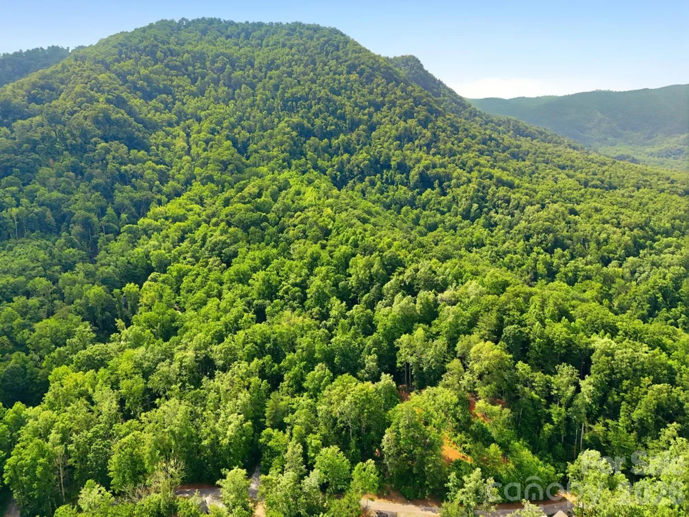 0000 Rocky Branch Trail Marion, NC 28752