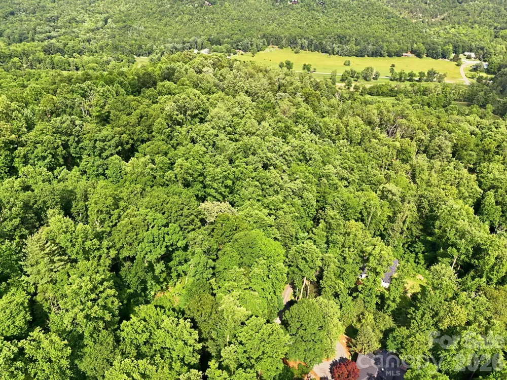 0000 Rocky Branch Trail Marion, NC 28752