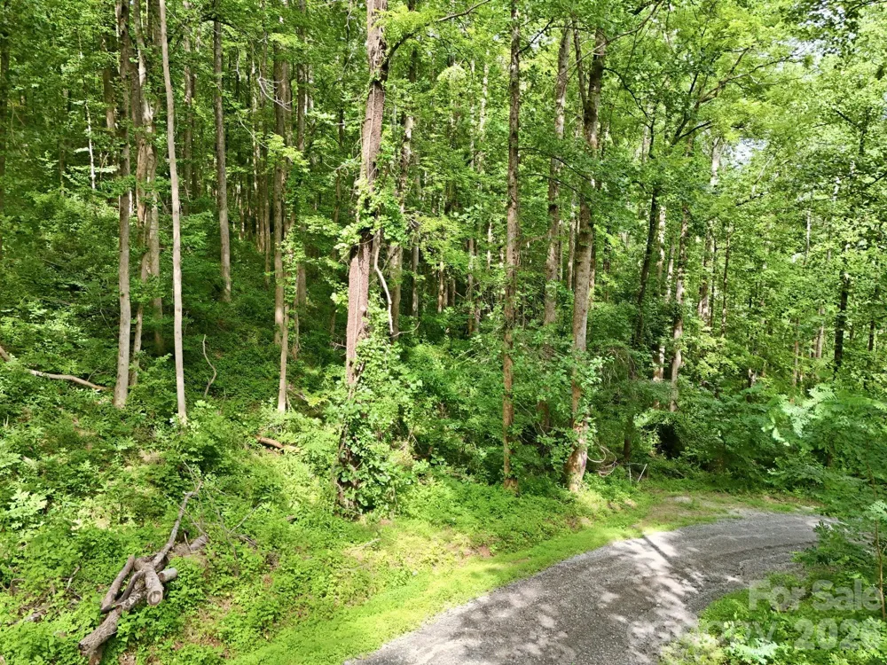 0000 Rocky Branch Trail Marion, NC 28752