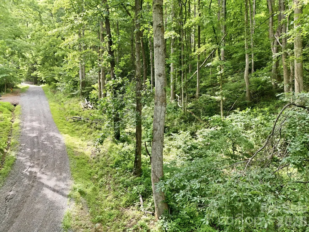 0000 Rocky Branch Trail Marion, NC 28752