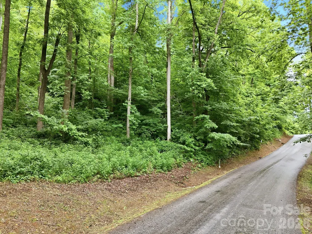 9999 Blue Ridge Drive S Marion, NC 28765