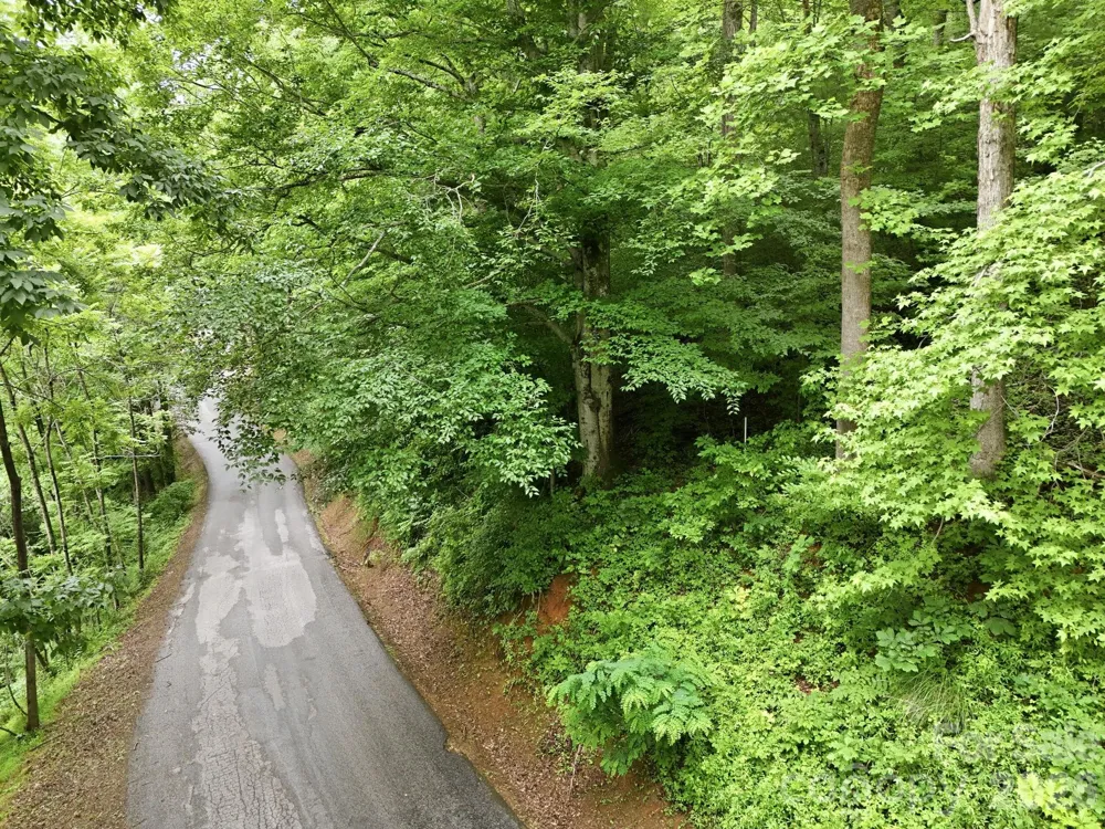 9999 Blue Ridge Drive S Marion, NC 28765