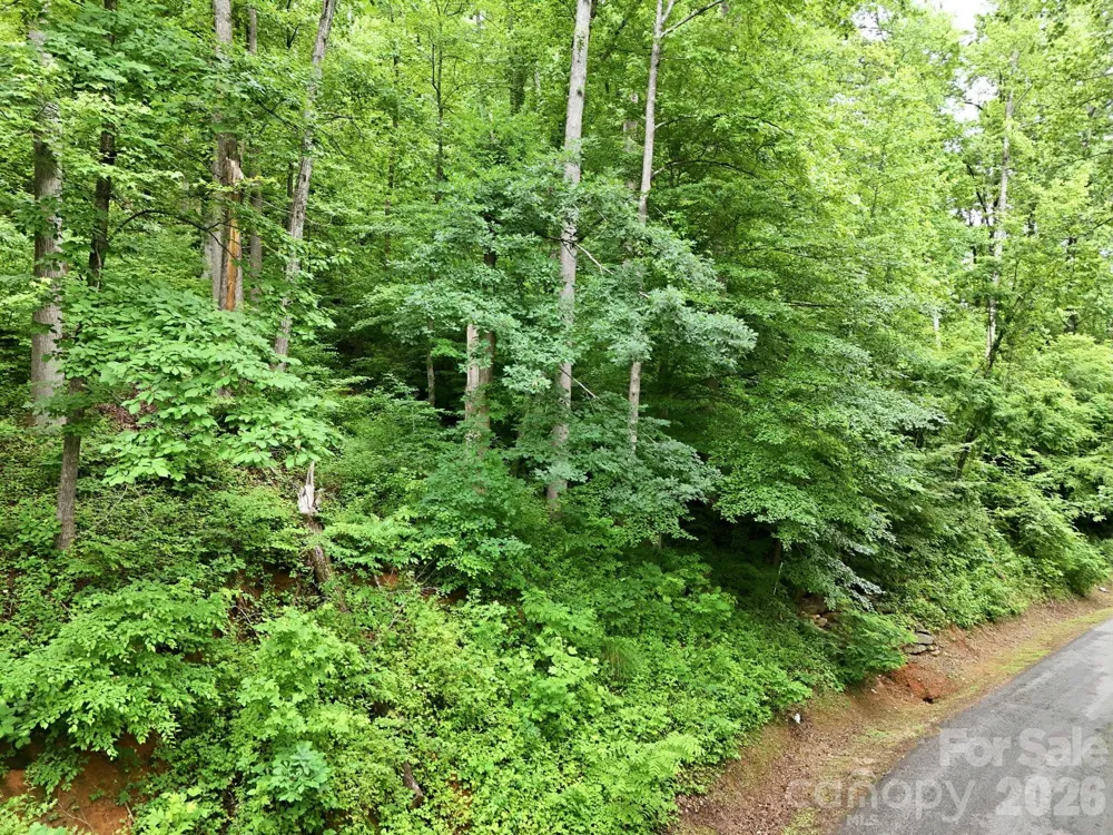 9999 Blue Ridge Drive S Marion, NC 28765
