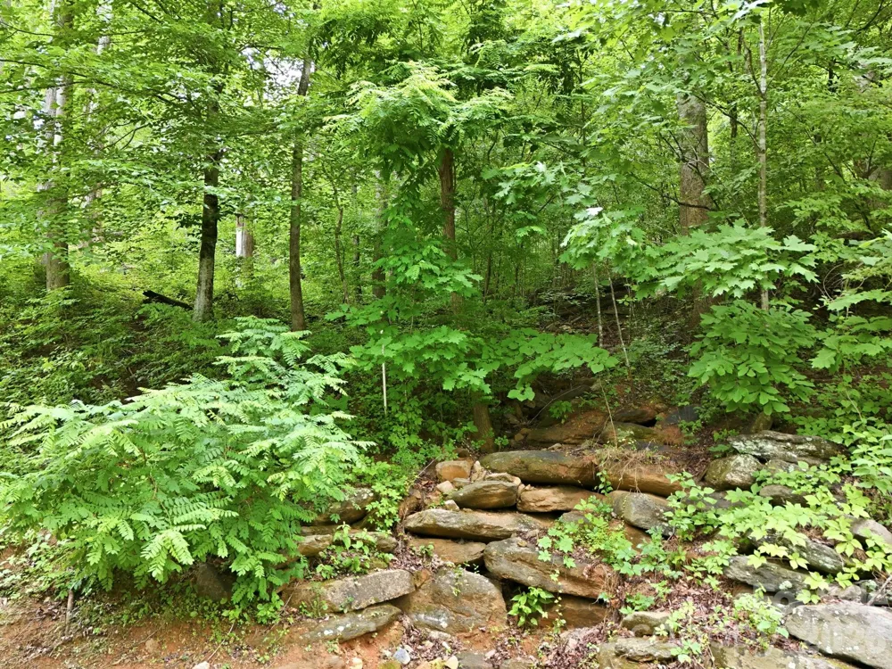 9999 Blue Ridge Drive S Marion, NC 28765
