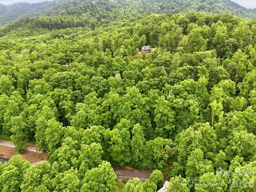9999 Blue Ridge Drive S Marion, NC 28765