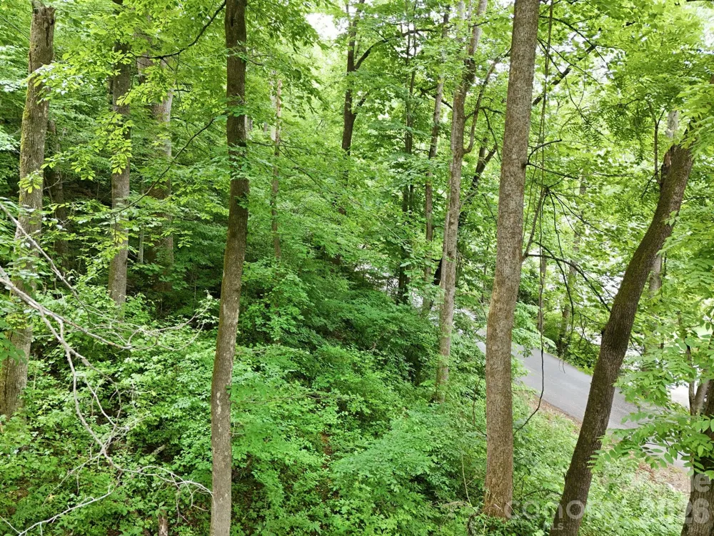 9999 Blue Ridge Drive S Marion, NC 28765