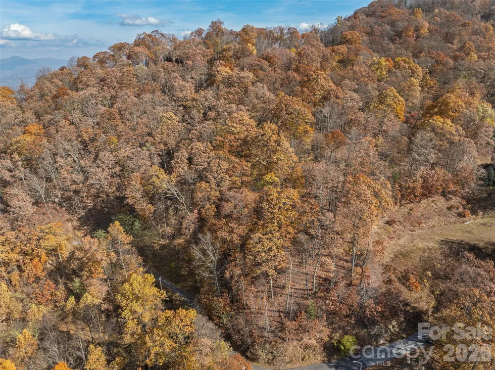 Lot 44 Weatherwatch Drive #44 Waynesville, NC 28786