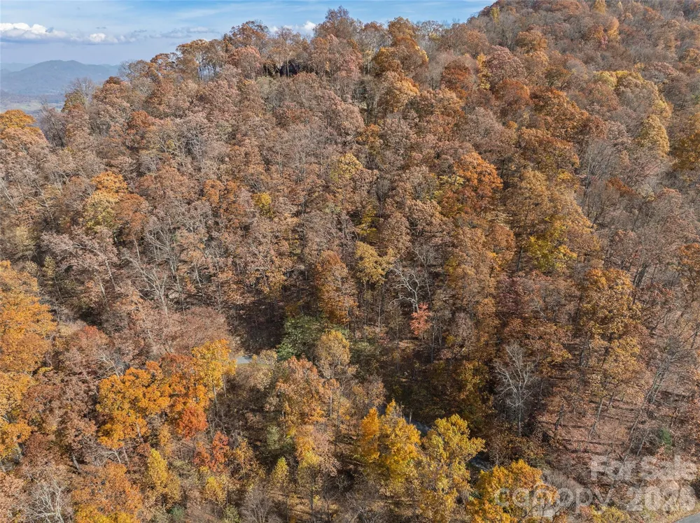 Lot 44 Weatherwatch Drive #44 Waynesville, NC 28786