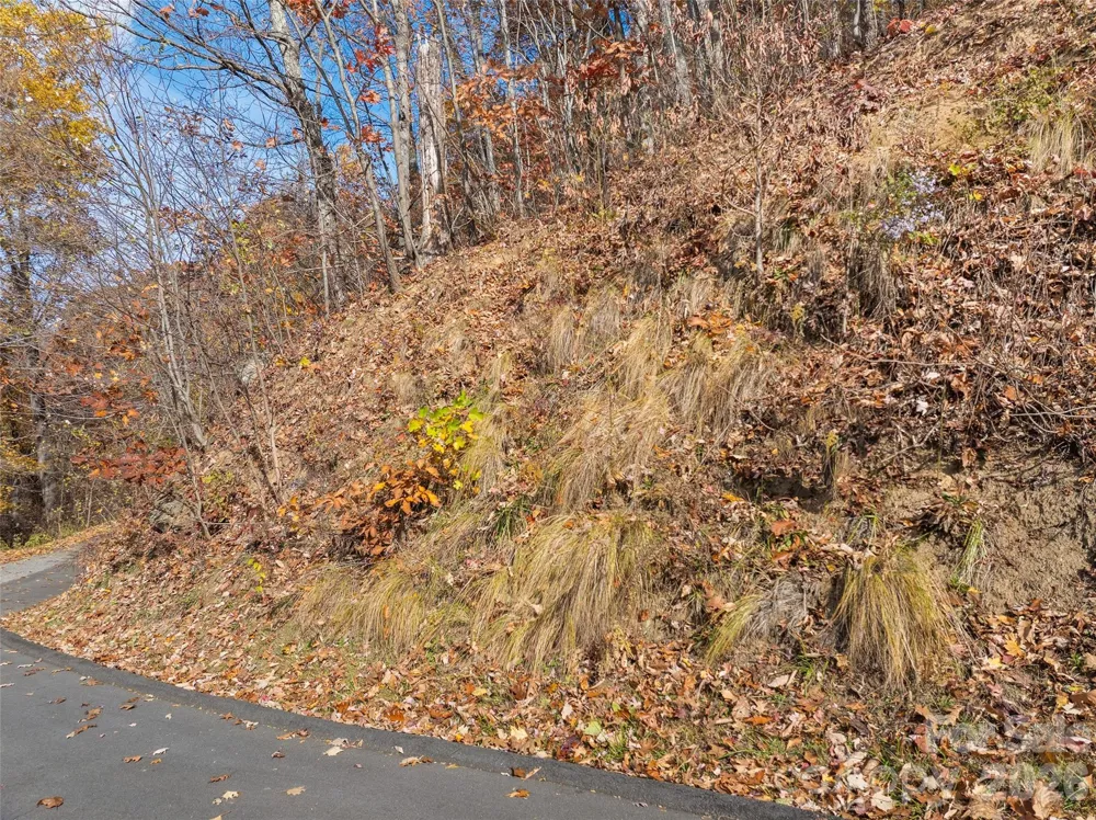Lot 44 Weatherwatch Drive #44 Waynesville, NC 28786