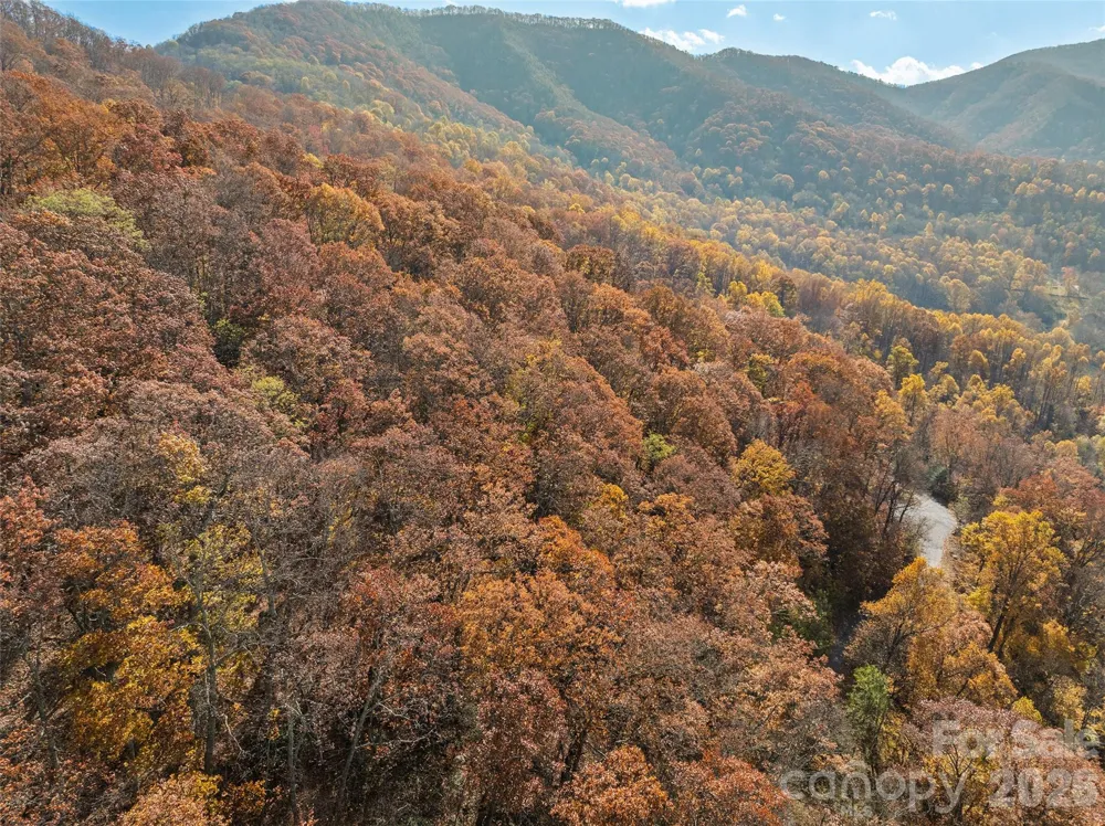 Lot 44 Weatherwatch Drive #44 Waynesville, NC 28786