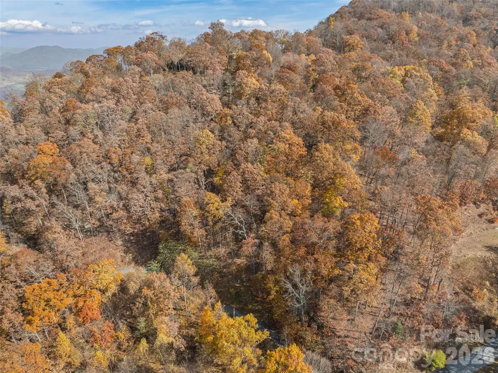 Lot 44 Weatherwatch Drive #44 Waynesville, NC 28786