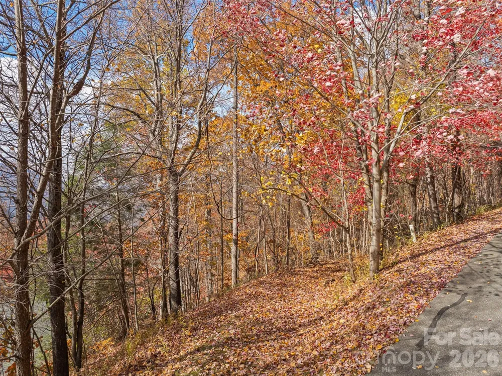 Lot 44 Weatherwatch Drive #44 Waynesville, NC 28786