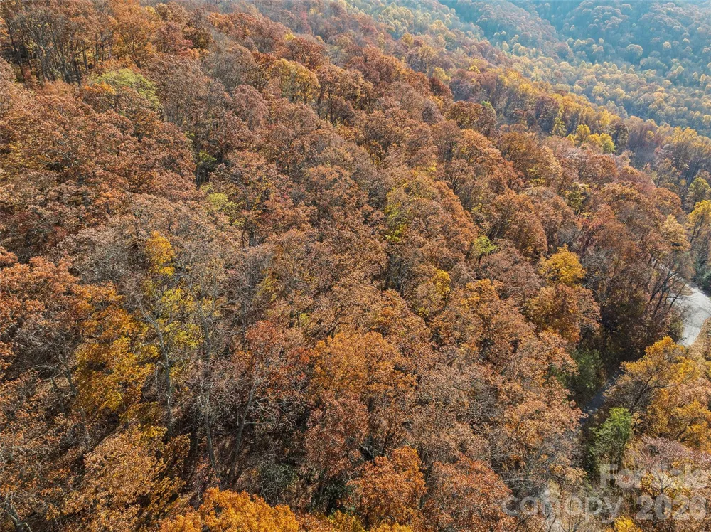 Lot 44 Weatherwatch Drive #44 Waynesville, NC 28786