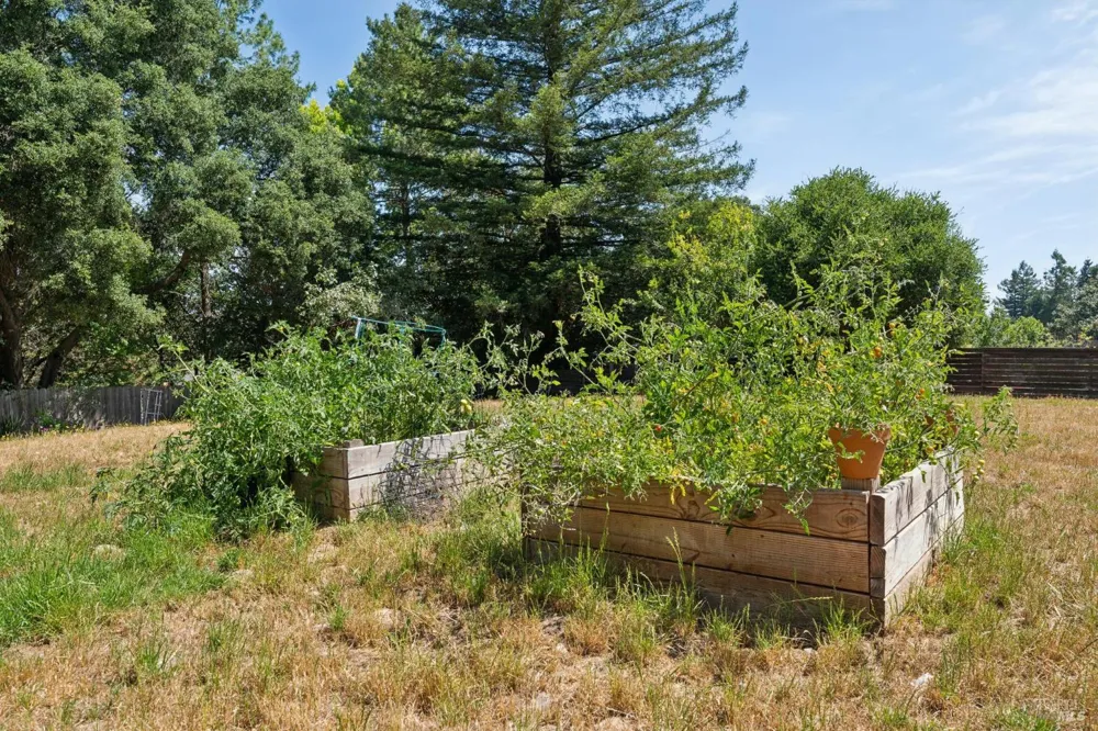 6304 Caraway Court Sebastopol, CA 95472
