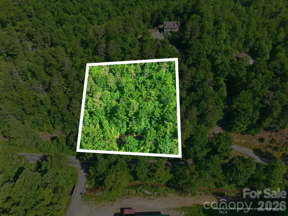 9999 Old Fort Road Black Mountain, NC 28711