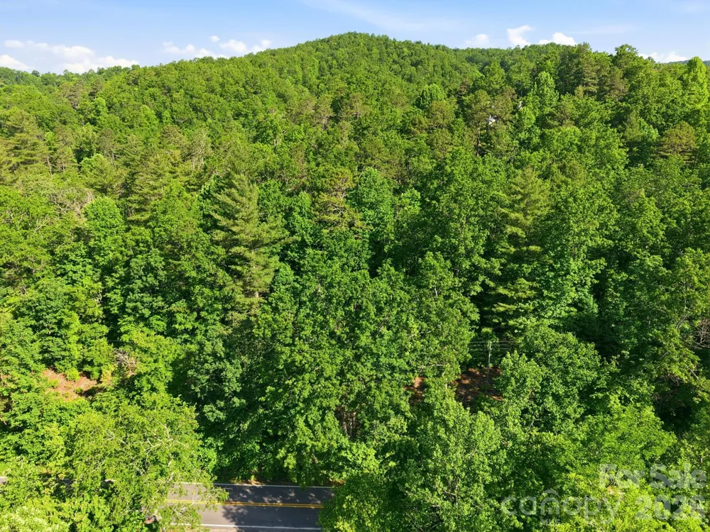 9999 Old Fort Road Black Mountain, NC 28711