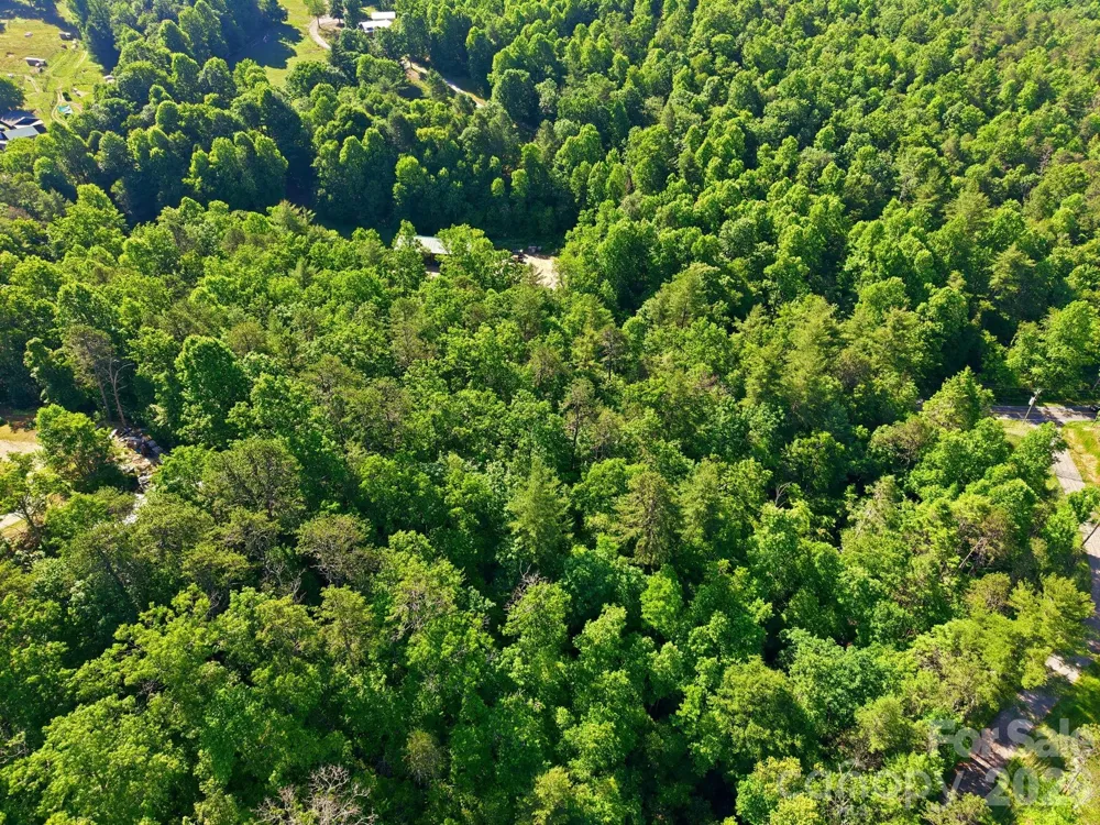9999 Old Fort Road Black Mountain, NC 28711