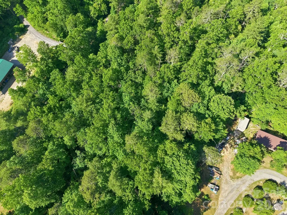 9999 Old Fort Road Black Mountain, NC 28711