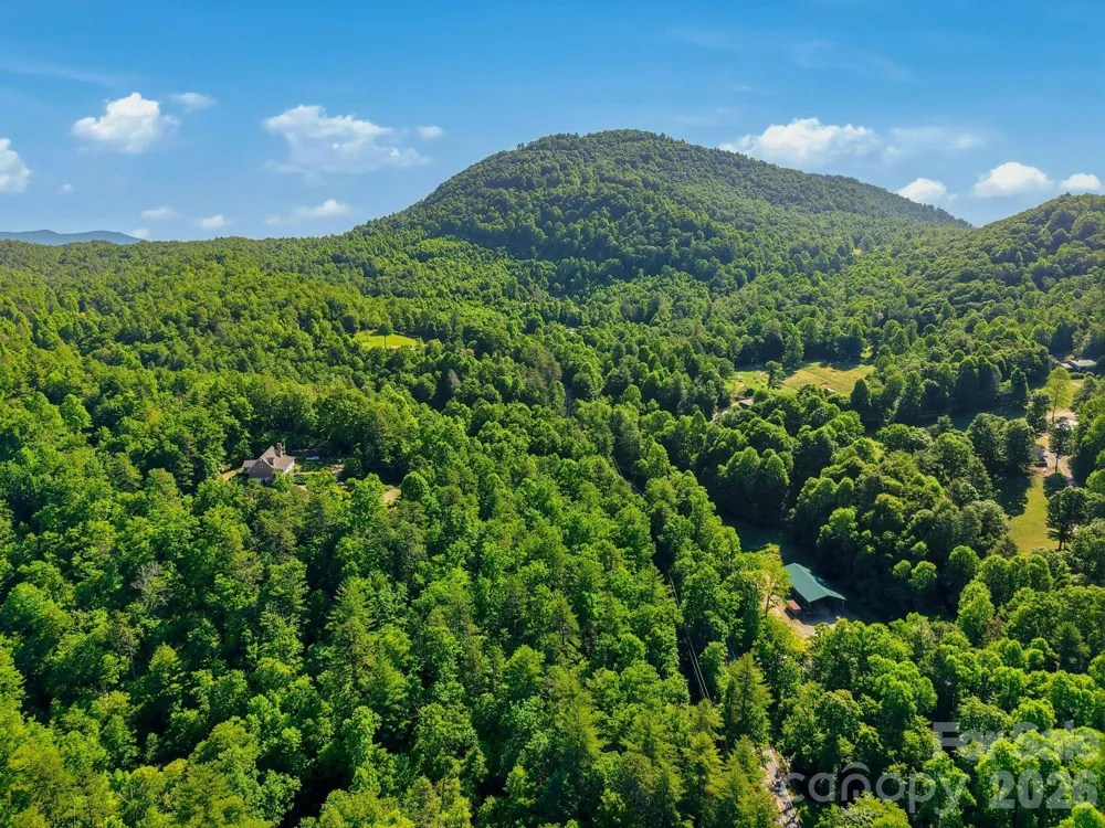 9999 Old Fort Road Black Mountain, NC 28711