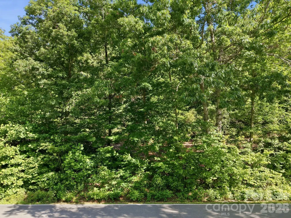 9999 Old Fort Road Black Mountain, NC 28711